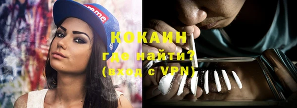индика Беломорск