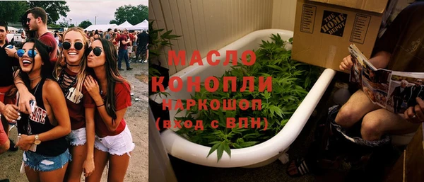 индика Беломорск