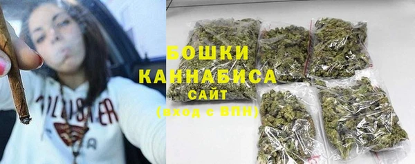 индика Беломорск