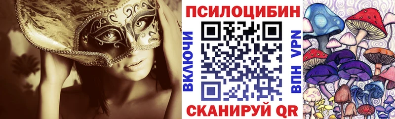 Галлюциногенные грибы прущие грибы  Верея 