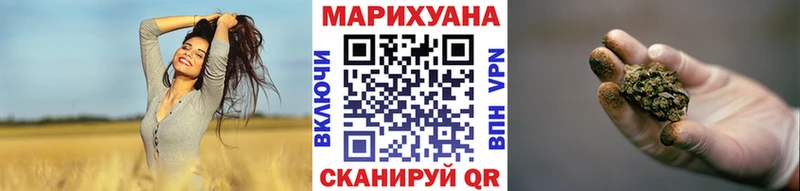 Конопля планчик Верея